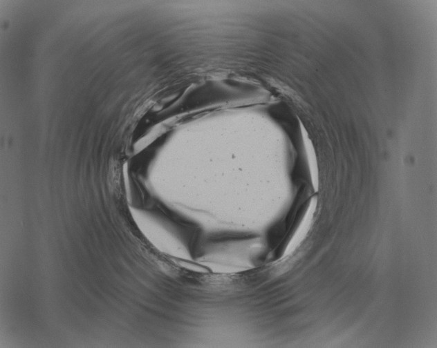 X0000068270192200605191837