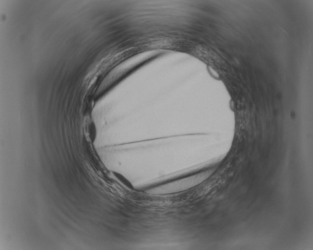 X0000068270194200605191836