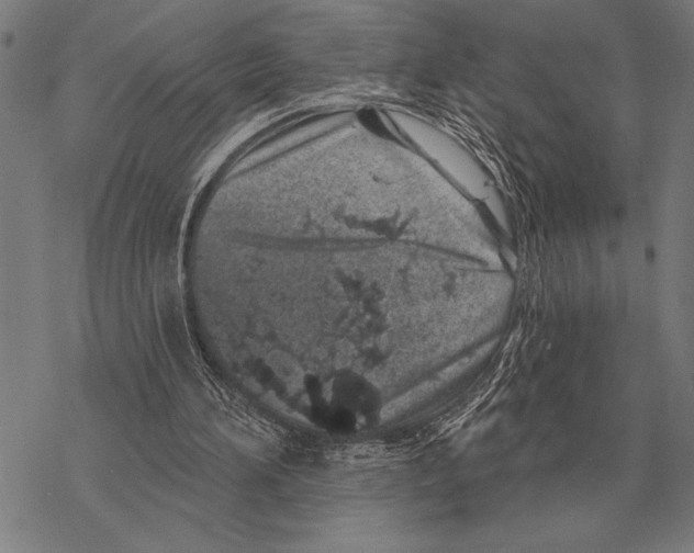 X0000068270196200605191836