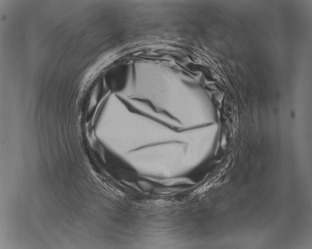 X0000068270197200605191836