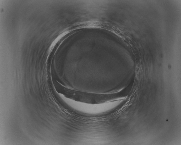 X0000068270200200605191836