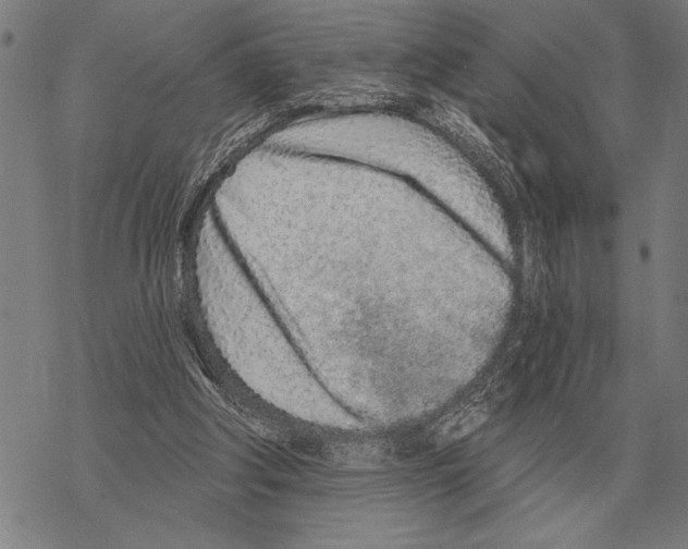 X0000068270202200605191836