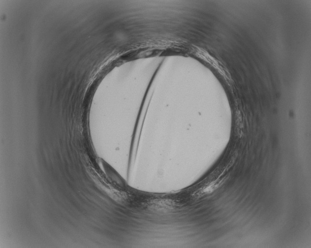 X0000068270203200605191836