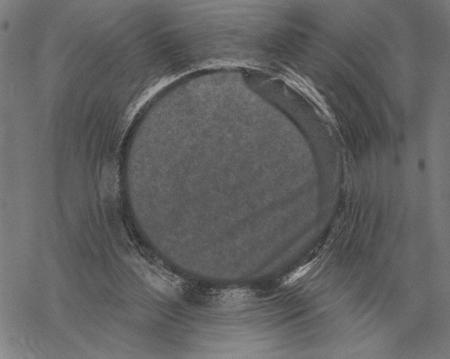 X0000068270204200605191836