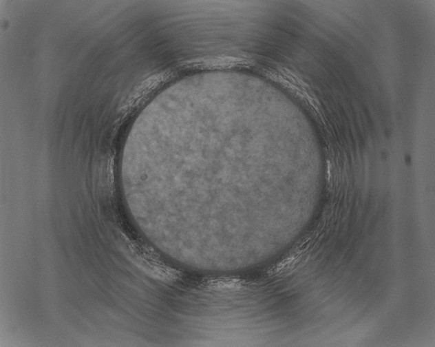 X0000068270206200605191836