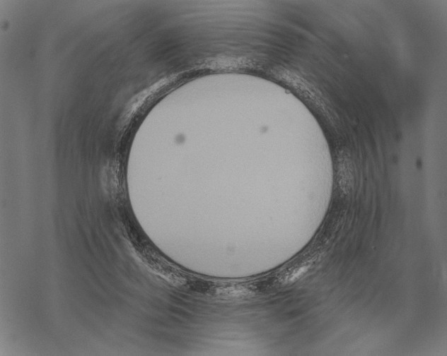 X0000068270208200605191836