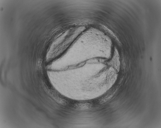 X0000068270209200605191836