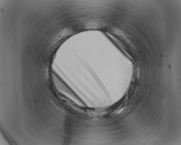 X0000068270211200605191836