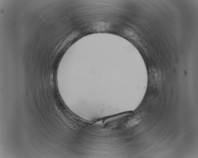 X0000068270212200605191836