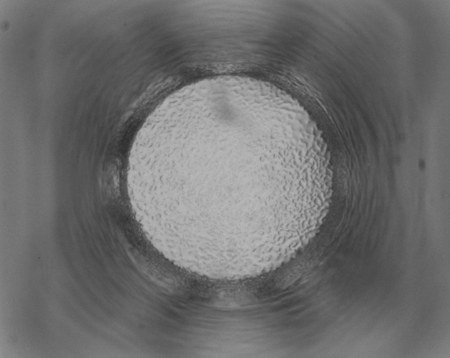 X0000068270214200605191836