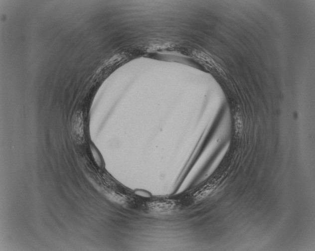 X0000068270215200605191836