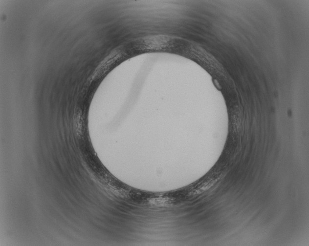 X0000068270216200605191836