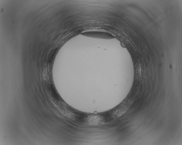 X0000068270218200605191836