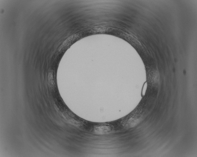 X0000068270220200605191836