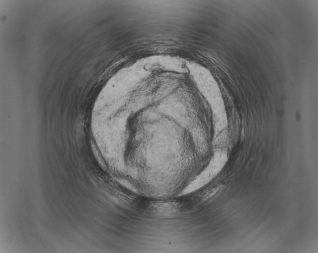 X0000068270221200605191836