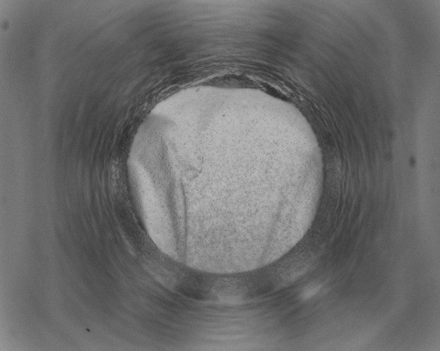 X0000068270222200605191836