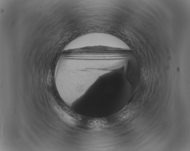 X0000068270223200605191836