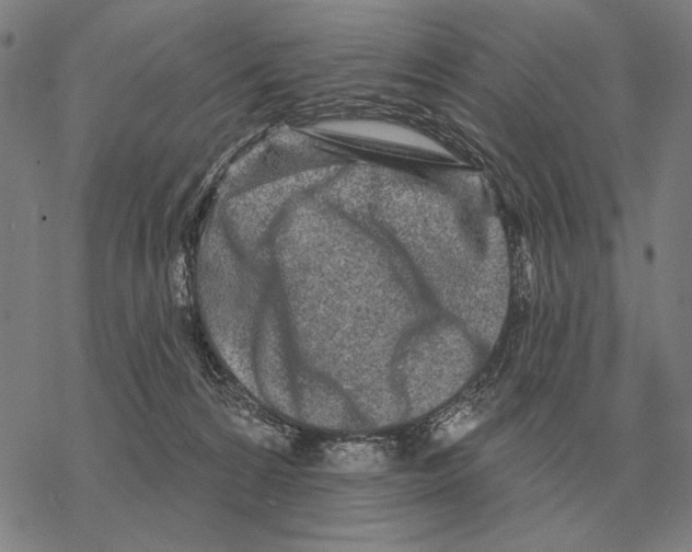 X0000068270224200605191836