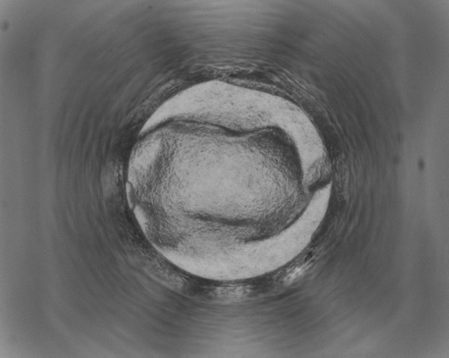 X0000068270225200605191836