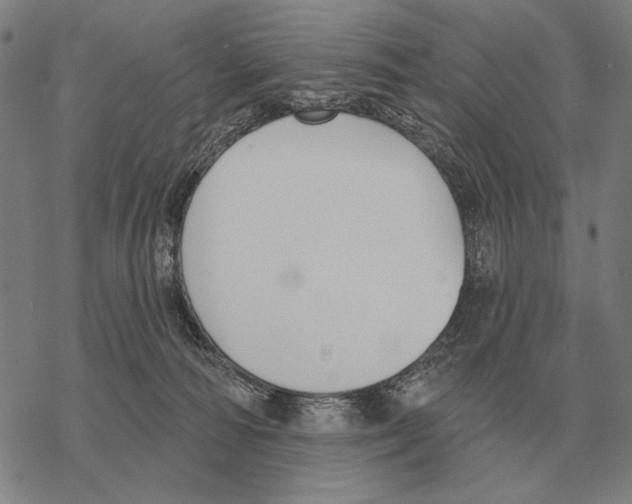 X0000068270226200605191836