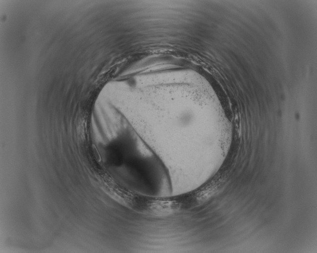 X0000068270227200605191836