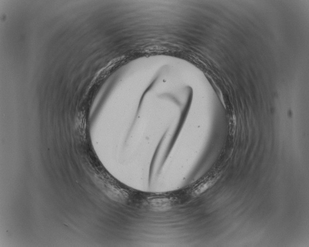 X0000068270228200605191836