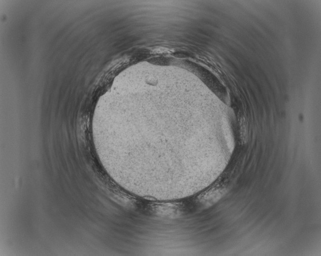 X0000068270229200605191836