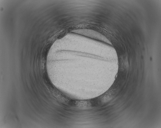 X0000068270230200605191836