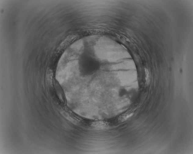 X0000068270231200605191836