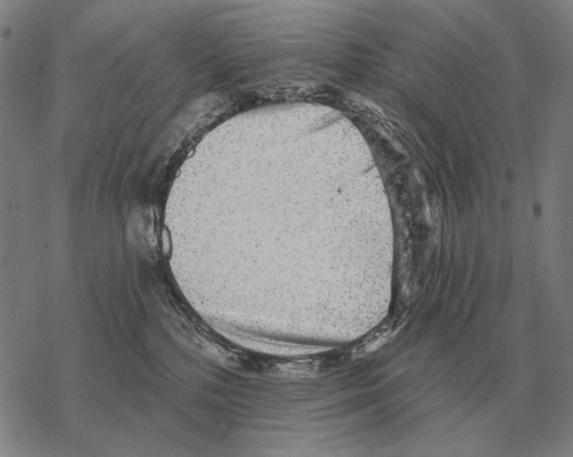 X0000068270232200605191836