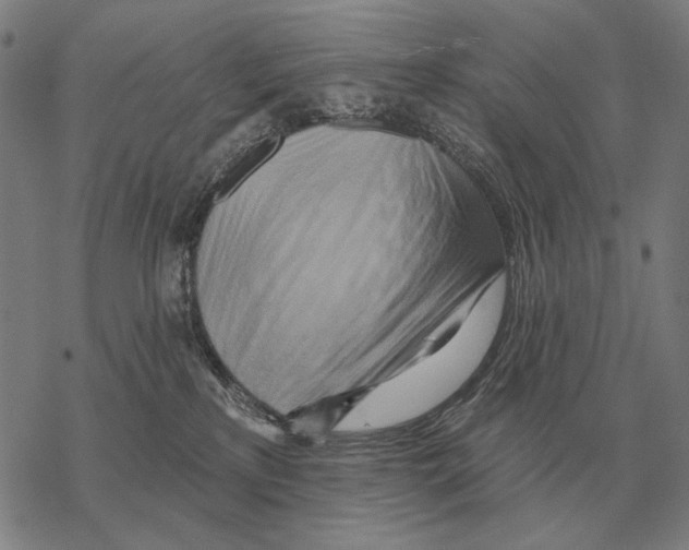 X0000068270233200605191836