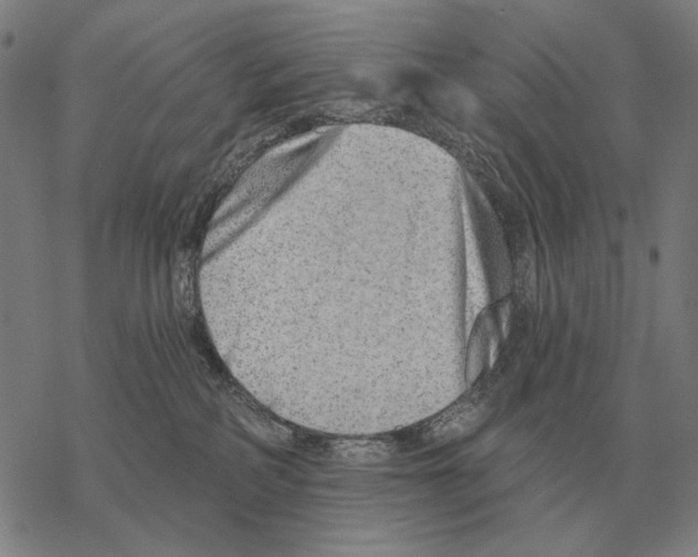 X0000068270234200605191836