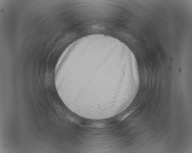 X0000068270236200605191836