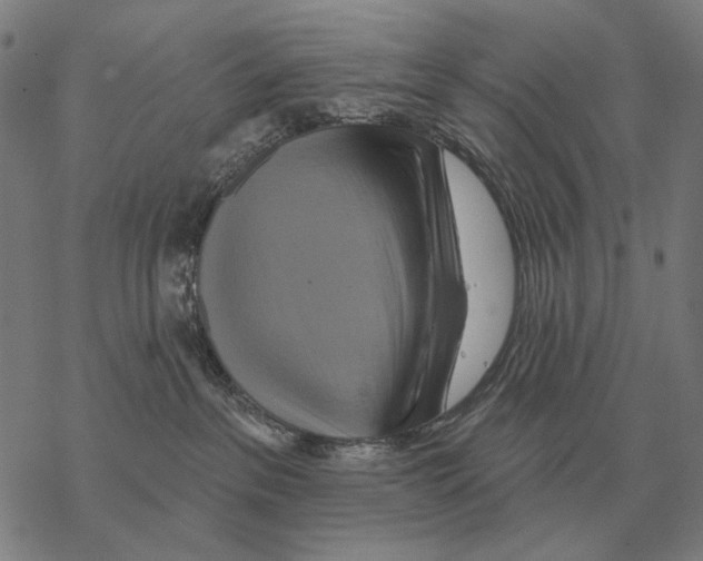 X0000068270237200605191835