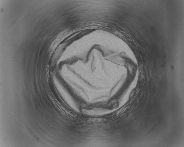 X0000068270242200605191835