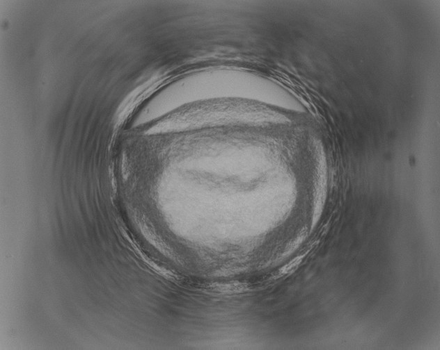 X0000068270245200605191835