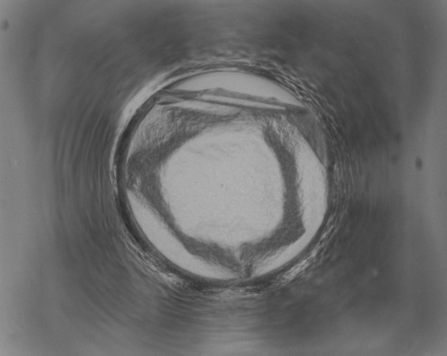 X0000068270246200605191835