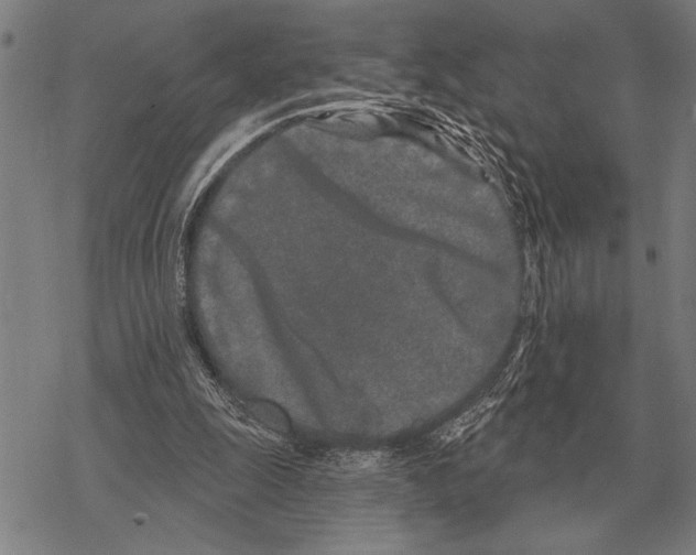 X0000068270247200605191835