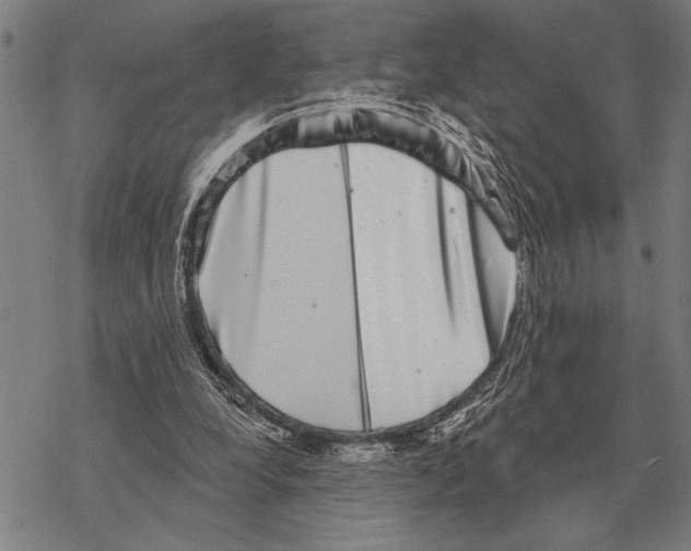 X0000068270248200605191835