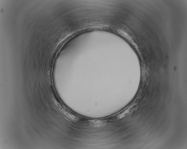 X0000068270249200605191835