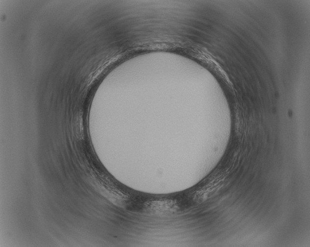 X0000068270251200605191835