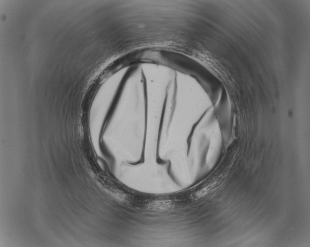 X0000068270252200605191835