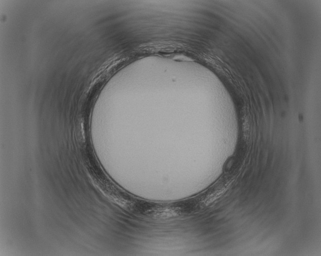 X0000068270254200605191835