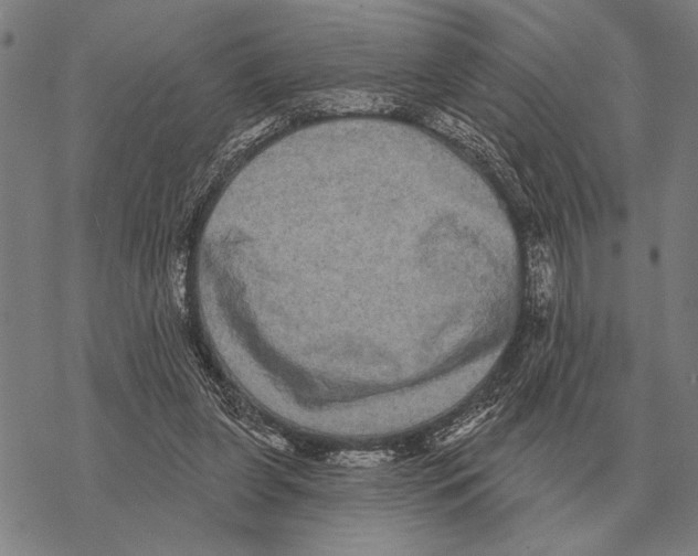 X0000068270255200605191835