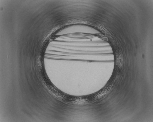 X0000068270256200605191835