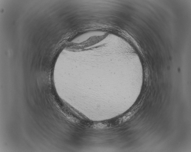 X0000068270257200605191835