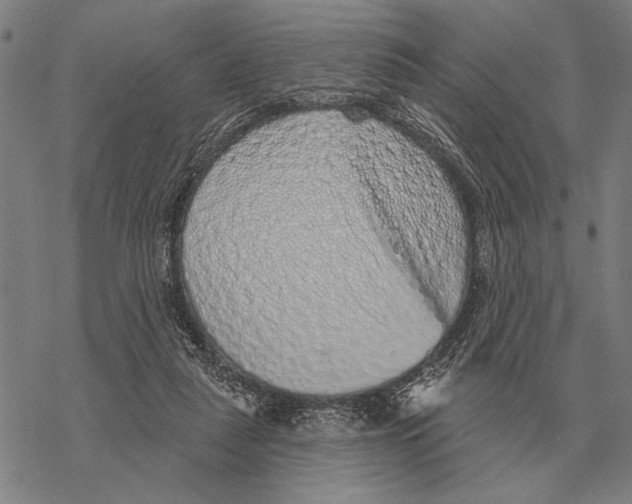 X0000068270259200605191835