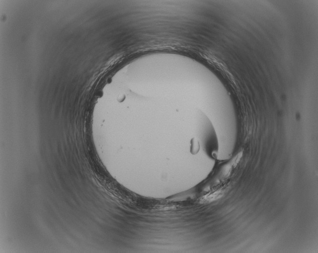 X0000068270260200605191835