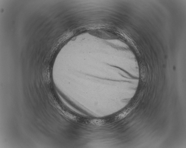 X0000068270261200605191835