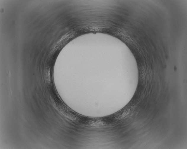 X0000068270262200605191835